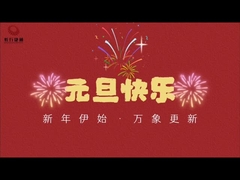 Εισαγωγή της εταιρείας